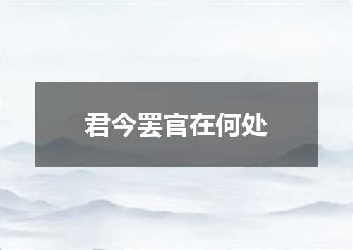 君今罢官在何处