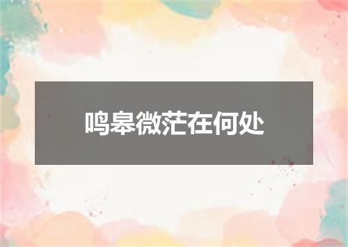 鸣皋微茫在何处