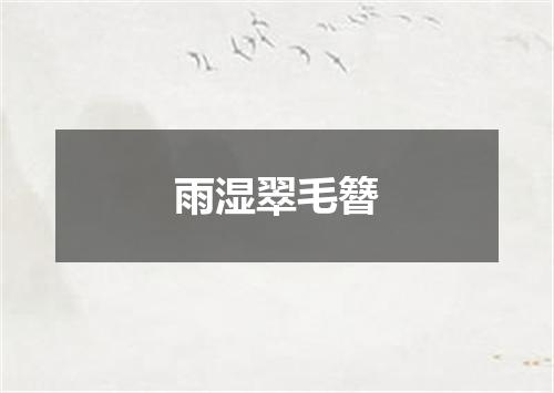 雨湿翠毛簪