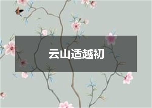 云山适越初