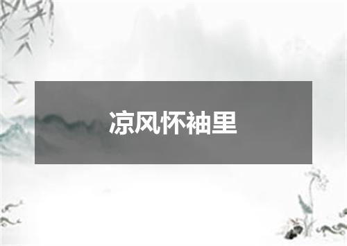 凉风怀袖里