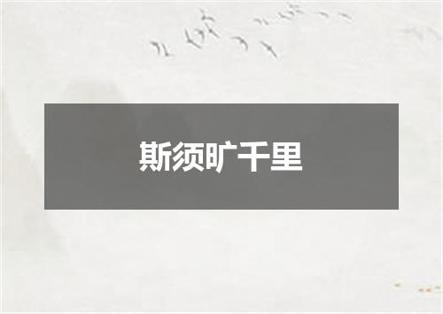 斯须旷千里