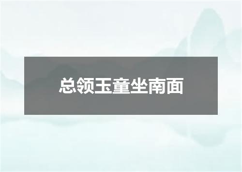 总领玉童坐南面