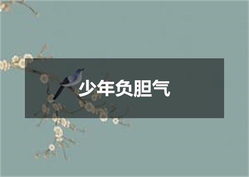 少年负胆气