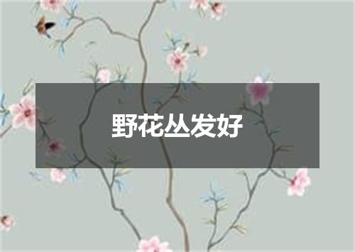 野花丛发好