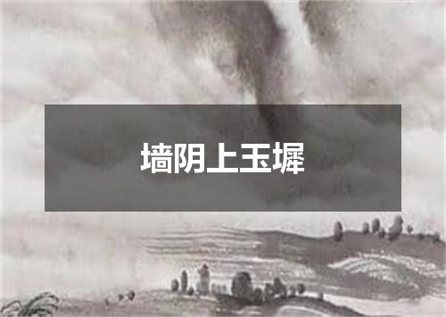 墙阴上玉墀