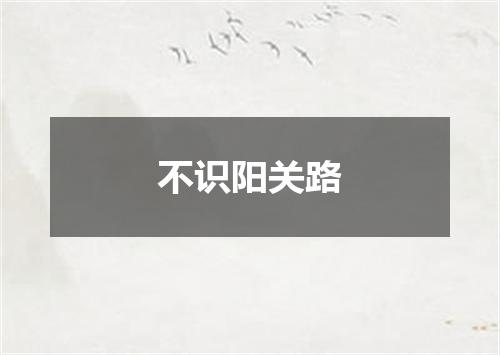 不识阳关路