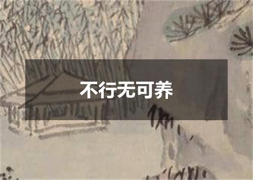 不行无可养