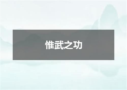 惟武之功