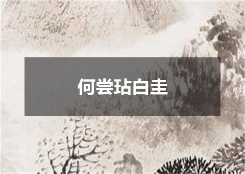 何尝玷白圭