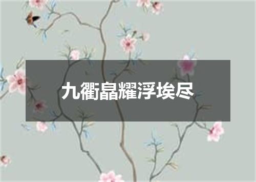 九衢皛耀浮埃尽