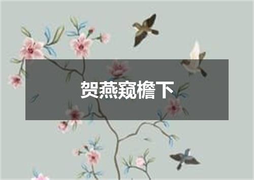 贺燕窥檐下