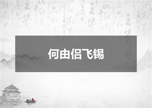 何由侣飞锡