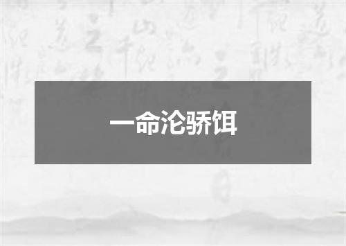 一命沦骄饵