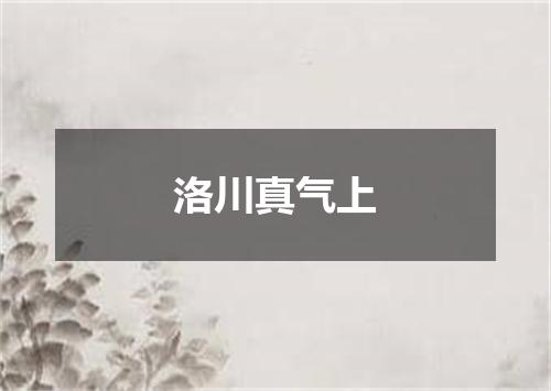 洛川真气上