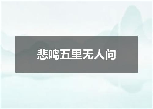 悲鸣五里无人问