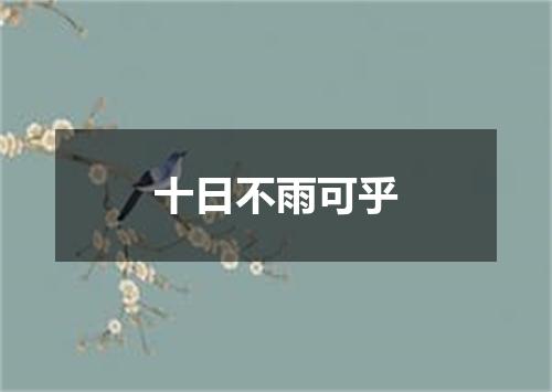 十日不雨可乎