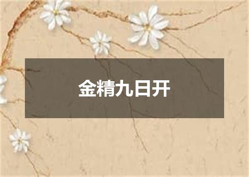 金精九日开