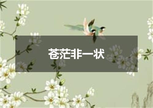苍茫非一状