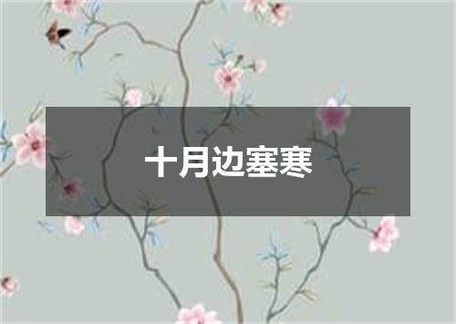 十月边塞寒