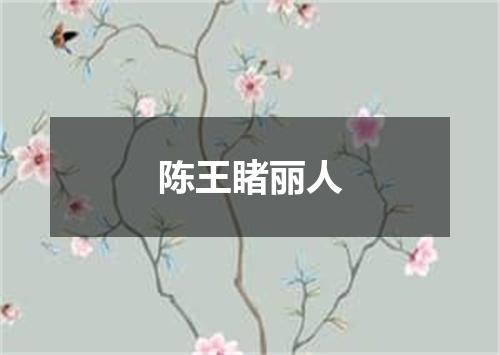 陈王睹丽人