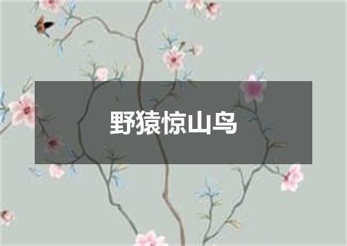 野猿惊山鸟