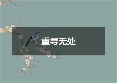 重寻无处