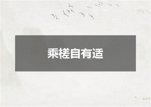 乘槎自有适