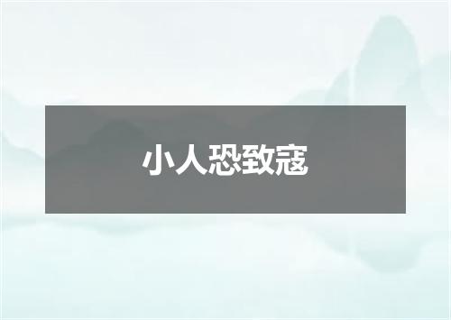 小人恐致寇