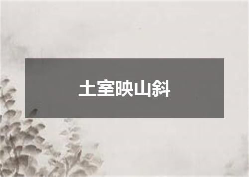 土室映山斜