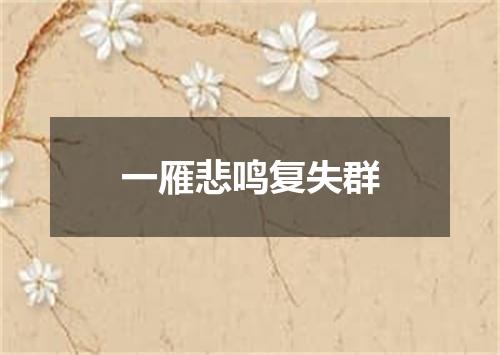 一雁悲鸣复失群