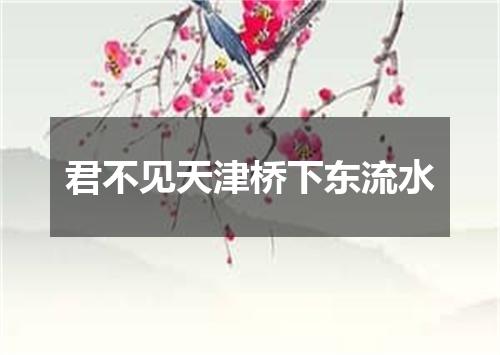 君不见天津桥下东流水