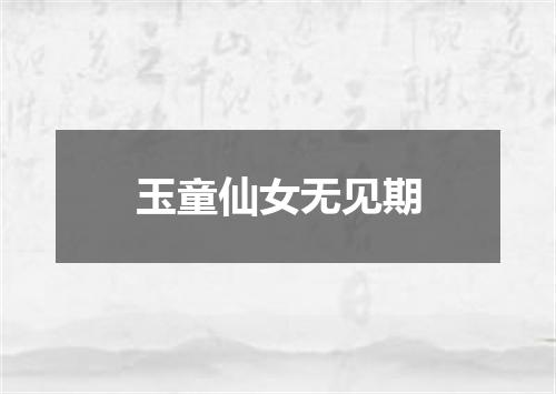 玉童仙女无见期