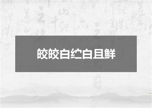 皎皎白纻白且鲜
