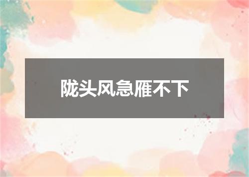 陇头风急雁不下
