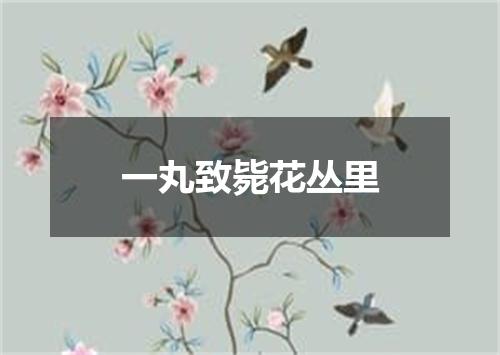 一丸致毙花丛里