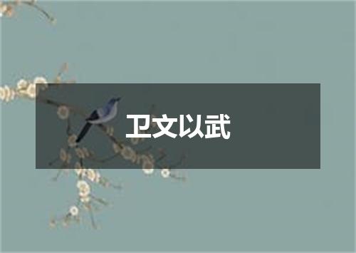 卫文以武