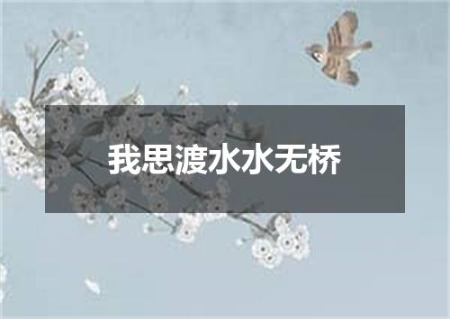 我思渡水水无桥