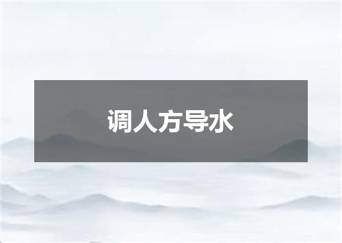 调人方导水