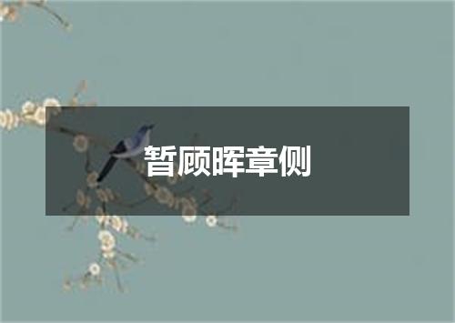 暂顾晖章侧