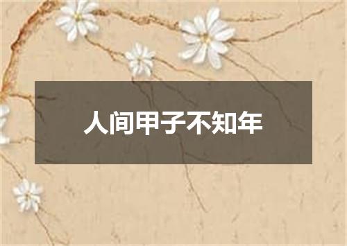 人间甲子不知年