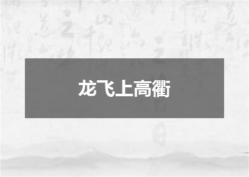 龙飞上高衢