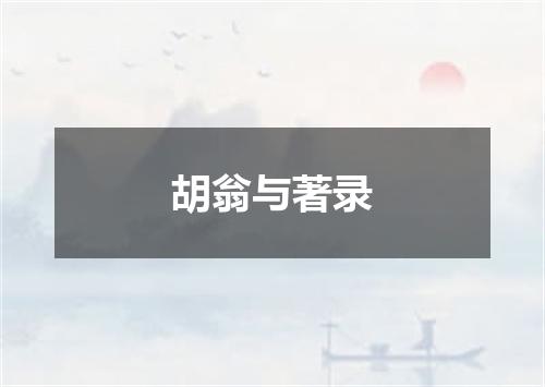 胡翁与著录