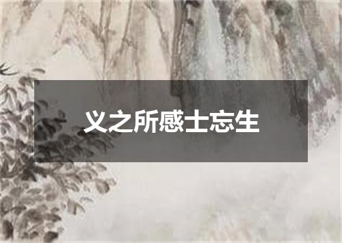 义之所感士忘生