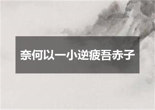 奈何以一小逆疲吾赤子