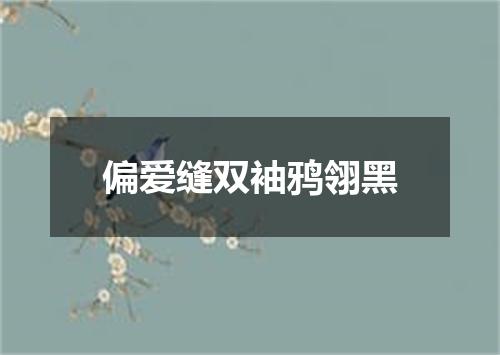 偏爱缝双袖鸦翎黑