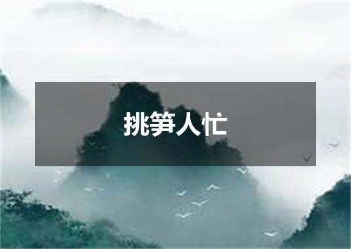 挑笋人忙