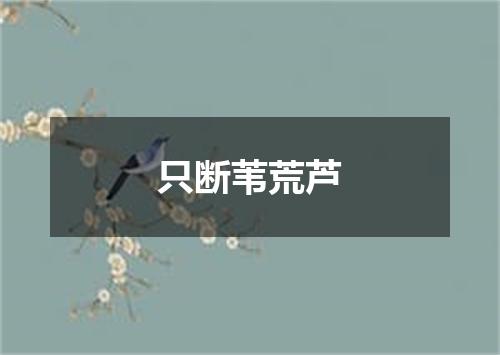 只断苇荒芦