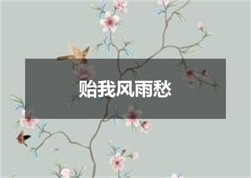 贻我风雨愁