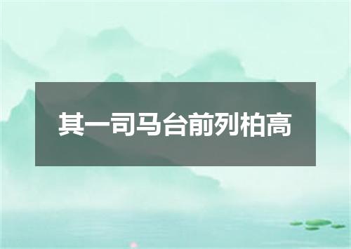 其一司马台前列柏高